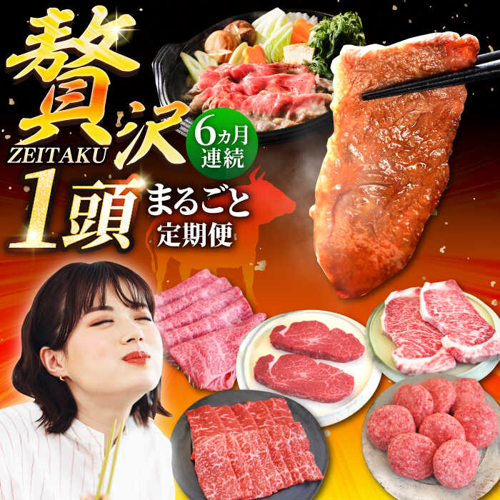 【ふるさと納税】【牧場直送】【6回定期便】佐賀牛 贅沢 1頭まるごと定期便 シルバーコース【佐賀セントラル牧場】A4 A5 和牛 国産牛 黒毛和牛 肉 焼肉 BBQ 冷凍 佐賀県 白石町 [IAH089]