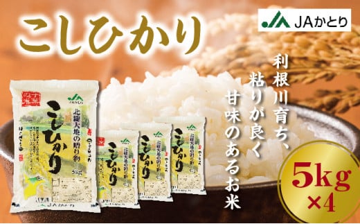 令和6年産 新米 コシヒカリ精米5ｋｇ×4入【千葉県神崎町産】[001-a005]