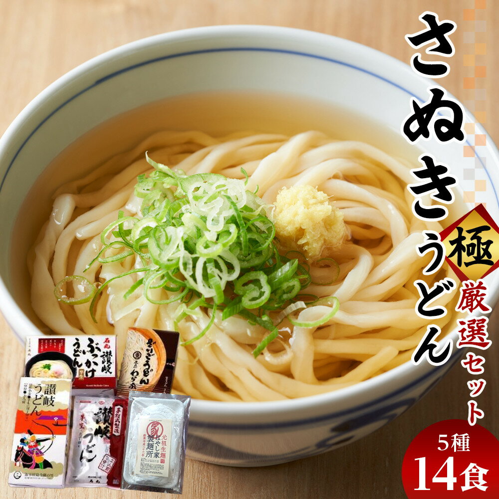 【ふるさと納税】さぬきうどん 極 厳選セット（5品） | うどん 半生うどん 生うどん ぶっかけうどん セット 食べ比べ 味比べ 詰め合わせ 食べ比べセット うどんセット 源平 石丸製麺 はやしや わら家 特産品 名店 グルメ お取り寄せ 贈答 おすそ分け 香川県 高松市 送料無料