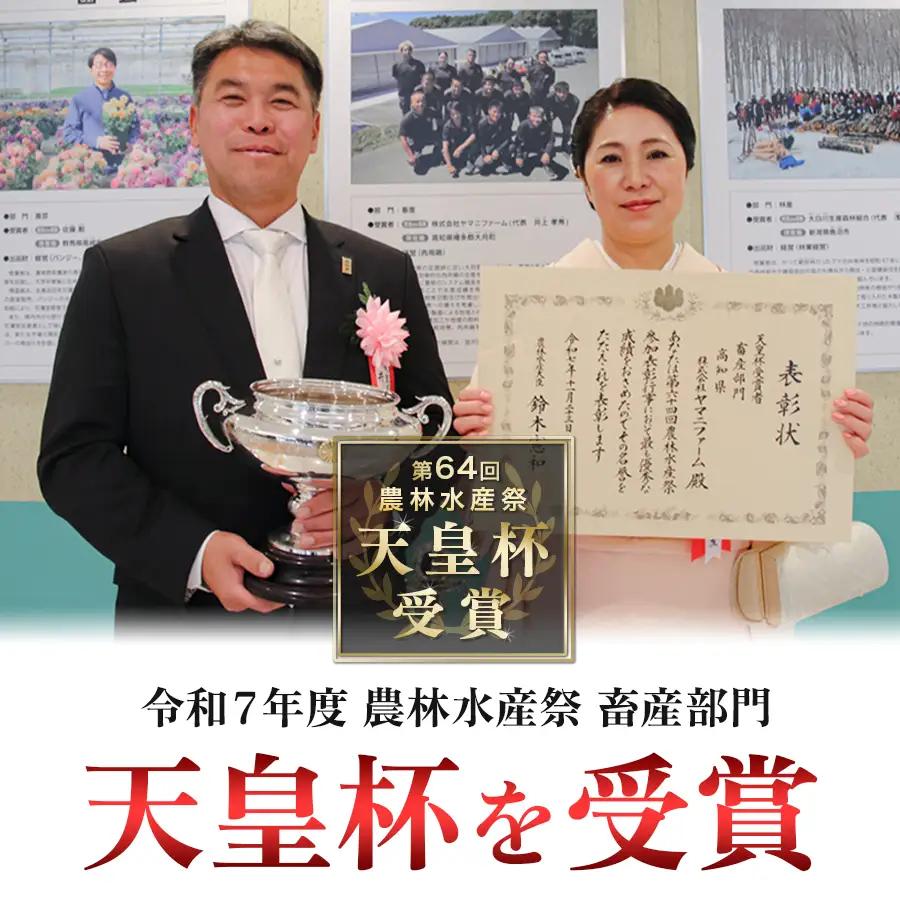 国産 鶏ささみ 2.2kg (220g×10P) 小分け 冷凍 高たんぱく 低脂質 よさこい尾鶏