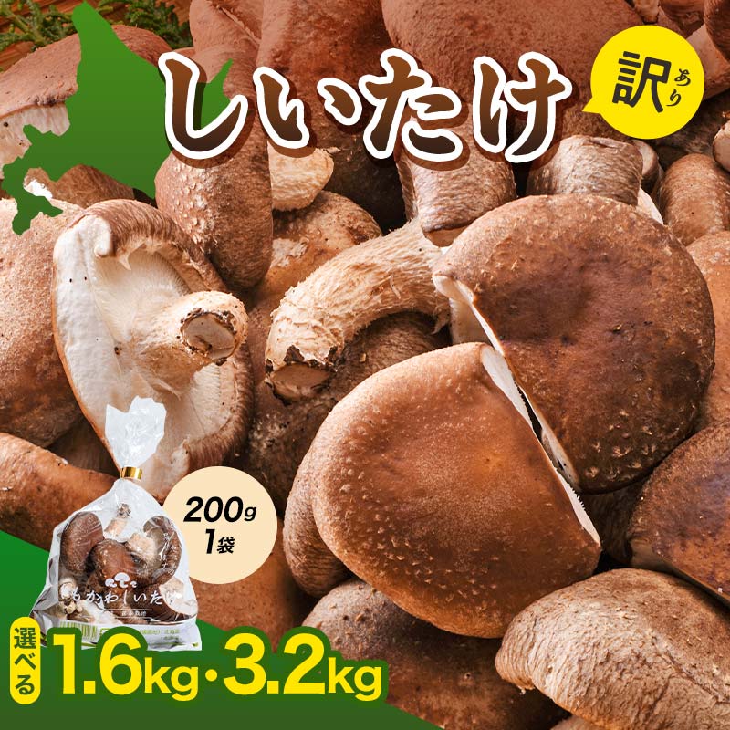 【ふるさと納税】 ＜配送月が選べる＞生しいたけ【形が悪いなどの訳あり品】1.6kg（200g×8袋）／3.2kg（200g×16袋） 不揃い シイタケ 椎茸 食べ応え おすそ分け 小分け 便利 北海道産 F4G-0261var