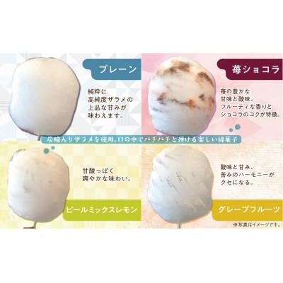 ふるさと納税 高山市 高純度 わたがし8種セット　TR4058 |  | 02