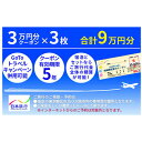 【ふるさと納税】日本旅行　地域限定旅行クーポン【90,000円分】　【旅行・チケット・旅行・宿泊券】