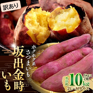 ＜2026年8月下旬以降発送・先行予約＞【訳あり】坂出金時いも　約5kg×2箱　2L～Mサイズ | さつまいも サツマイモ