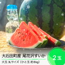 【ふるさと納税】大玉 尾花沢すいか 3L×2玉入り 2025年産 令和7年産 送料無料 スイカ大石田