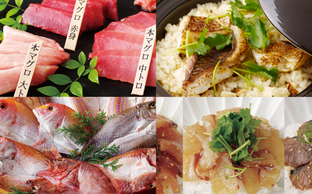 《定期便》長崎県産海の幸バラエティーセット【4回お届け】