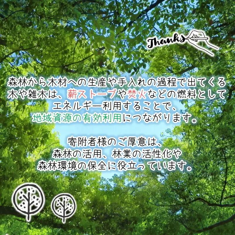 薪 定期便 月2回 5ヶ月 割り薪 30kg 広葉樹 薪ストーブ 焚火 キャンプファイヤー アウトドア キャンプ 日用品 10回 お楽しみ 秋田県 能代市