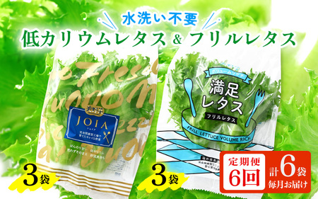 定期便 ≪6ヶ月連続お届け≫ 低カリウムレタス&フリルレタス　計6個セット 全6回 【福井県美浜町産】【野菜 生野菜 レタス サラダ サンドイッチ お弁当 水耕栽培 洗わず食べられる 時短 付け合わせ