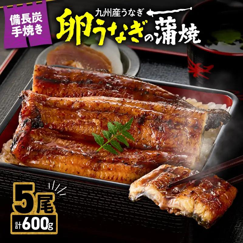 2900 九州産うなぎ 備長炭手焼『卵うなぎ』の蒲焼 5尾 計600g KN029-005-04 鰻 惣菜 総菜 魚 鰻の蒲焼