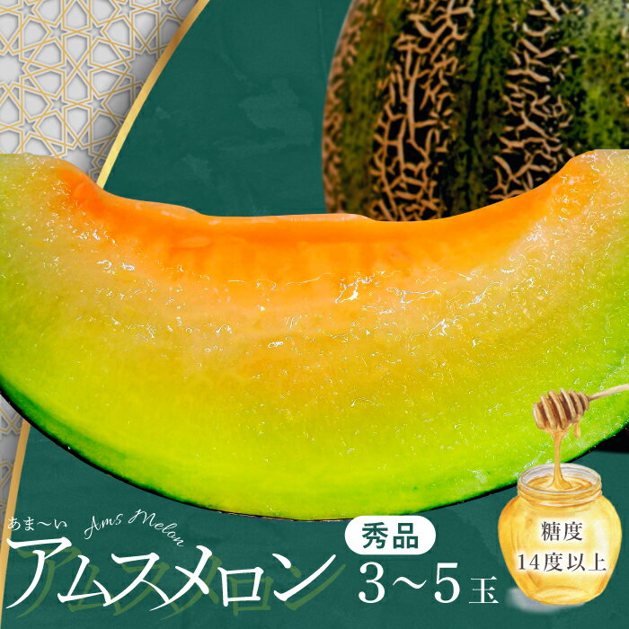 【ふるさと納税】〈先行予約〉 アムスメロン 3玉〜5玉 メロン 季節限定 期間限定 数量限定 果物 フルーツ くだもの お土産 プレゼント 贈り物 アムス 食後 デザート ご褒美 贅沢 青肉