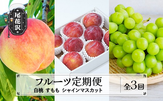 
                  【先行予約】フルーツ定期便 全3回 白桃 すもも シャインマスカット 秀品 2026年8月上旬頃~発送開始 2026年産 令和8年産 佐竹物産 ※沖縄・離島への配送不可 sb-fthps3
                