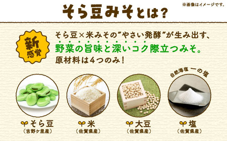 そら豆味噌 450g×3個 生みそ 高オレイン酸大豆 一の塩 そら豆 吉野ヶ里町/イデマン味噌醤油醸造元[FAF035]