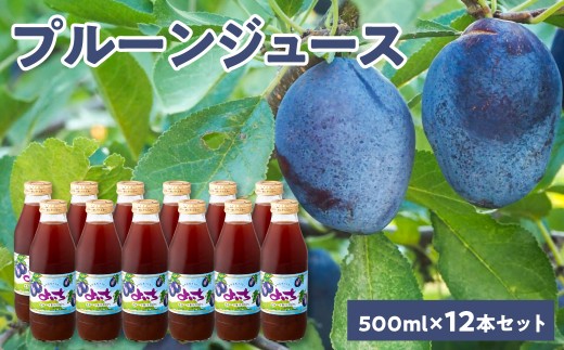 
                  余市産 無添加 プルーン果汁100％ジュース 500ml×12本セット
                