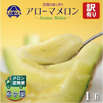 【ふるさと納税】【毎月定期便】【訳あり】アローマメロン 1玉 全3回【配送不可地域：離島・北海道・沖縄県】【4013170】