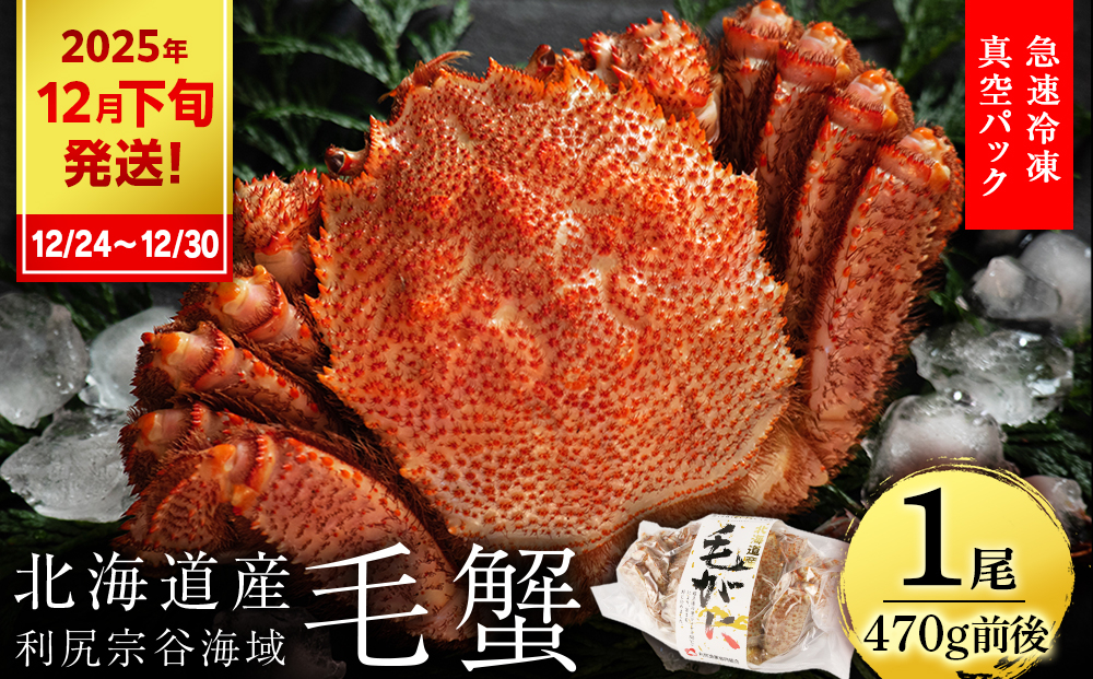 
            【2025年12月24日～12月30日発送】 毛ガニ 小サイズ（470g前後） 1尾セット＜利尻漁業協同組合＞
          