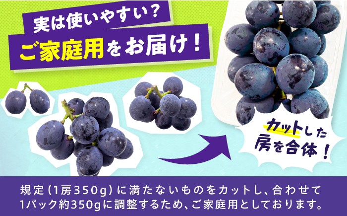 果物 くだもの ブドウ ぶどう 葡萄 巨峰