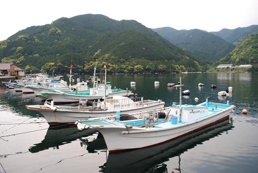 海水が油のような九鬼湾