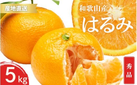 
                  【先行予約】秀品 はるみ 和歌山 有田 S～2Lサイズ 大きさお任せ 5kg【1月下旬～3月下旬までに順次発送予定】/ みかん フルーツ 果物 くだもの 蜜柑 柑橘【ktn045A】
                