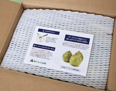 西洋梨（ラ・フランス）３ｋｇ　ご家庭用　0037-2506