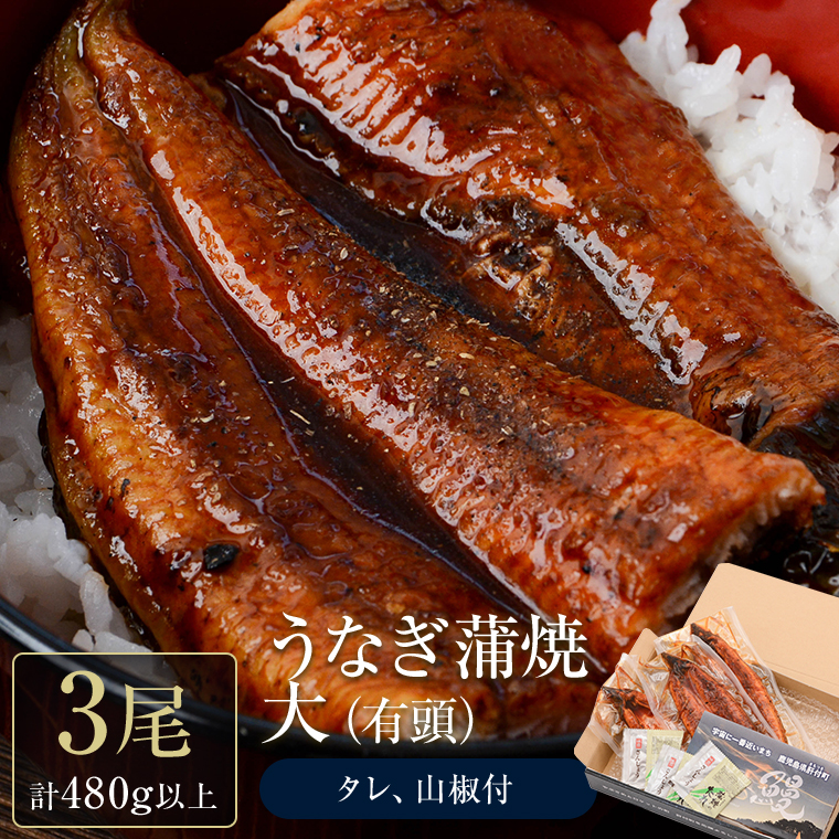 【B57002】 うなぎ蒲焼・大(有頭)(3尾・計480g以上、タレ、山椒付)