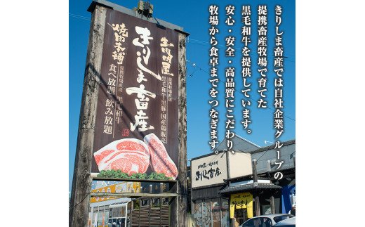 C-066 黒毛和牛ヒレステーキ約300g(約150g×2枚)【きりしま畜産】