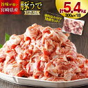 【ふるさと納税】豚肉 小分け 切り落とし 300g×18袋 合計5.4kg [甲斐精肉店 宮崎県 美郷町 31as0047] 冷凍 宮崎県産 豚 ウデ 腕 切落し 真空包装 焼肉