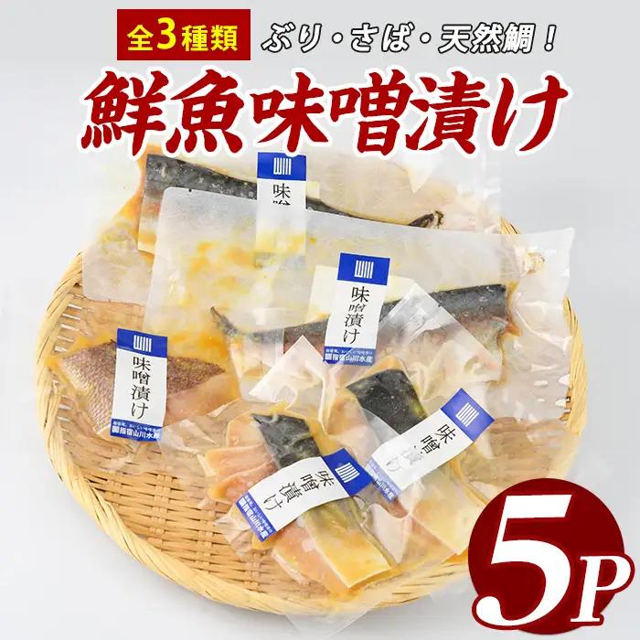 漁師がつくる味噌漬け5Pセット 指宿山川水産 IB035-017 味噌漬け 味噌漬け