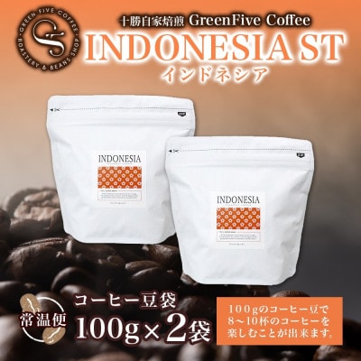 コーヒー豆 インドネシア 100g 2袋 鮮度を高めたスペシャルティコーヒー 北海道 帯広市