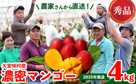 マンゴー【2026年発送】濃密マンゴー《秀品・約4kg》