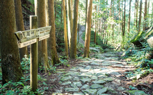 世界遺産「熊野古道」