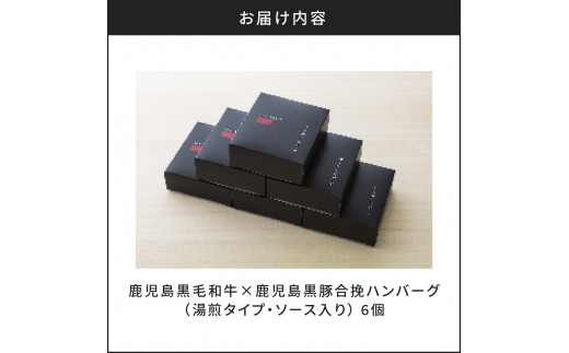 鹿児島黒毛和牛×鹿児島黒豚合挽ハンバーグ（湯煎タイプ・ソース入り）6個　K130-007
