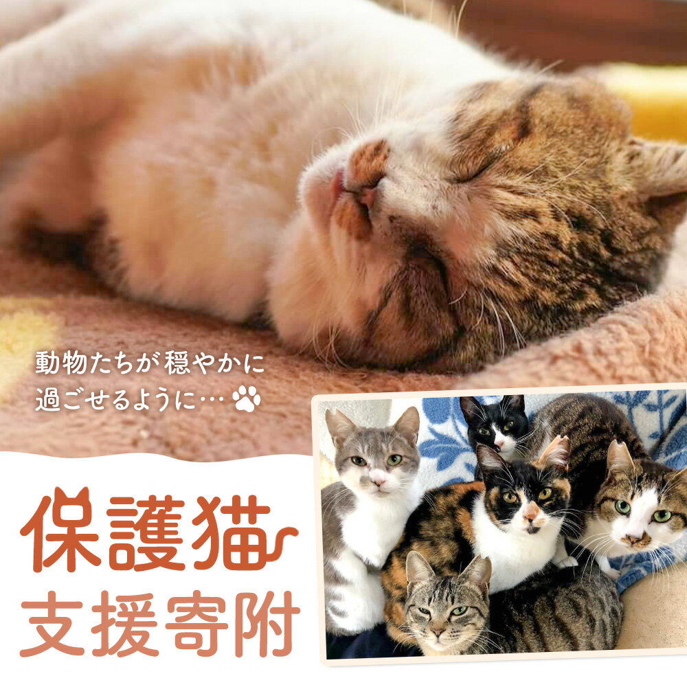 【ふるさと納税】【返礼品なし】保護猫支援寄附 一般社団法人オープンセサミアライブ 熊本県 南阿蘇村 保護猫 支援 猫 ネコ ねこ 生活支援 動物愛護 保護 返礼品なし 寄附 牧場 オープンセサミ アニマルサンクチュアリ
