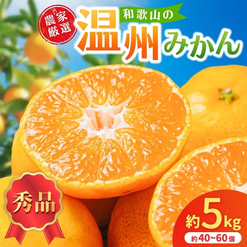 【先行予約】和歌山県産温州みかん約5kg（約40個～60個）秀品　2026年11月初旬頃から2026年12月中旬頃順次発送予定【kgr032A】