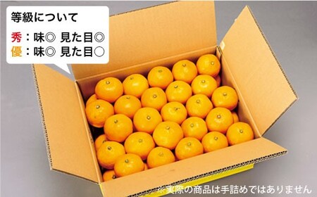 【先行予約☆限定20箱】西海1号 温州 みかん 約5kg（秀品/Mサイズ）＜西海柑橘農業協同組合＞ [CCF005]