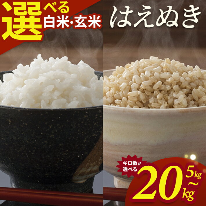 【ふるさと納税】はえぬき 選べる 5kg 10kg 15kg 20kg 白米 玄米 令和7年産 山形県酒田産 東北 山形県 酒田市 庄内地方 庄内平野 庄内米 お米 ごはん ご飯 精米