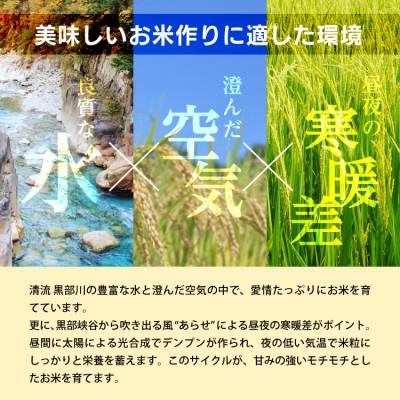 ふるさと納税 黒部市 令和7年産コシヒカリ一等米30kg 玄米 |  | 03