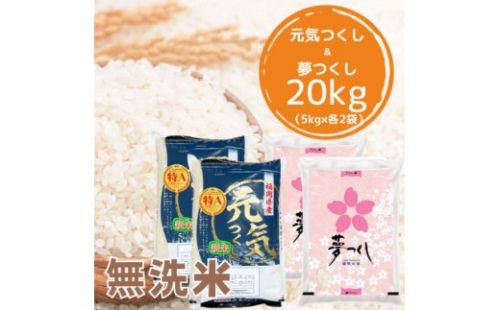＜令和7年産＞福岡県産米食べ比べ 無洗米セット「夢つくし」「元気つくし」2種類　計20kg(各5kg×2袋) 【米 ブランド米 ブランド 白米 無洗米 元気つくし 夢つくし お土産 福岡県産 グルメ 福岡県 筑前町 CE033】【価格改定】
