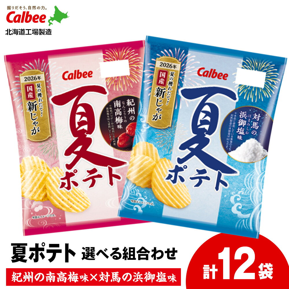 【ふるさと納税】夏ポテト 紀州の南高梅味1箱・対馬の浜御塩味1箱・食べ比べ2種セット（各6袋） スナック お菓子 北海道 千歳 ポテチ ポテトチップス じゃがいも感 スナック菓子 じゃがいも 北海道ふるさと納税 千歳市 ふるさと納税【北海道千歳市】ギフト ふるさと納税
