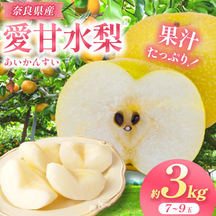 【ふるさと納税】愛甘水 2L～4L 約3kg 7～9玉 | 果物 くだもの フルーツ 梨 愛甘水 奈良県 大淀町 季節限定 産地直送 真田園 メディア紹介