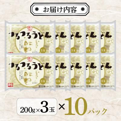ふるさと納税 泉佐野市 麺名人 つるつるうどん 30食 個包装 099H2514 |  | 02