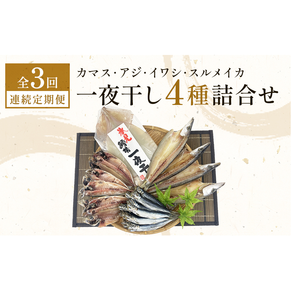 【連続3回】一夜干し4種詰合せ定期便《カマス・アジ・イワシ・スルメイカ》 富山県 氷見市 定期便 干物 かます あじ 鰯 いわし いか おかず 一品