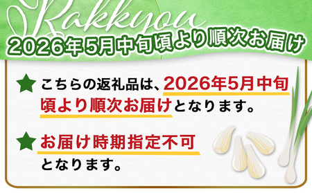 【先行受付!】掘りたて!新鮮!!根付き土付き生らっきょう10kg≪2026年5月中旬以降順次お届け≫_22-L701_(都城市)  都城産 根付き・土付き らっきょう らっきょう漬 塩らっきょう 酢味