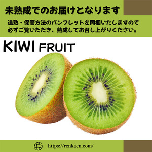 【先行予約】 【11月上旬から発送】 キウイフルーツ ヘイワード約5㎏ 大中小サイズ混合 家庭用 | キウイ キウイ キウイ キウイ キウイ 【RNK019】