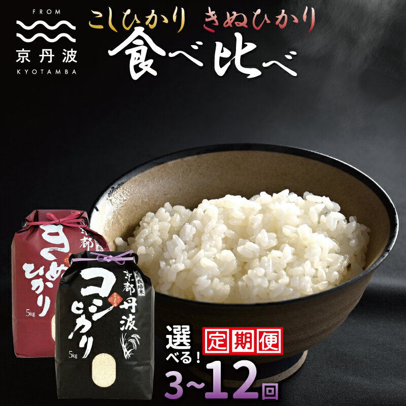 【ふるさと納税】【定期便】 京丹波こしひかり きぬひかり 食べ比べセット 10kg 令和7年産 3カ月 6カ月 12カ月 回数 選べる定期便 精米 京都 コシヒカリ キヌヒカリ ※北海道・東北・沖縄・その他離島は配送不可
