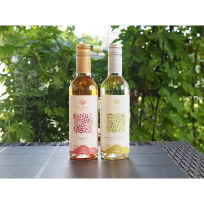 ふるさと納税 南陽市 ちょいと乾杯!漆山果樹園ミニワインセット ( 漆山ワイン2本・枝付き干しぶどう1袋)【S2279】 |  | 01
