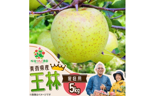 王林家庭用5kg【1789788】