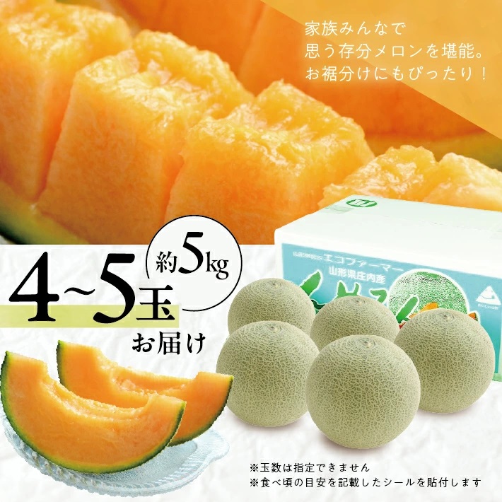 赤肉メロン 約5kg 4～5玉入 山形県遊佐町産 6月下旬～7月下旬頃お届け ※着日指定不可 果物 フルーツ メロン 赤肉 夏 東北 山形県 遊佐町 庄内 庄内砂丘 JA