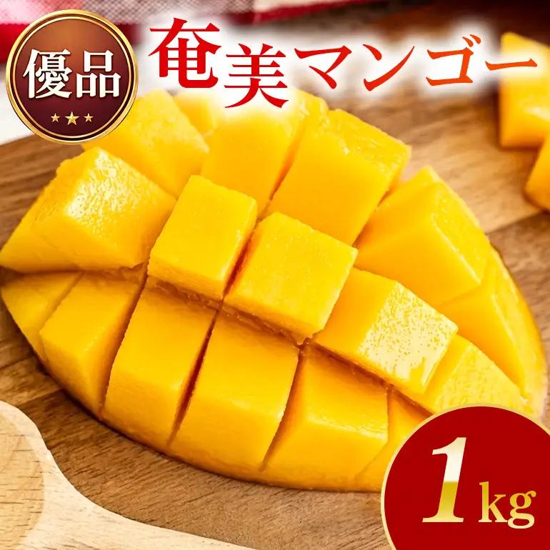 【2026年 観光雑誌付き】奄美産マンゴー 優品・美玉1kg とろける甘さの黄金果肉 樹上完熟 A052-019