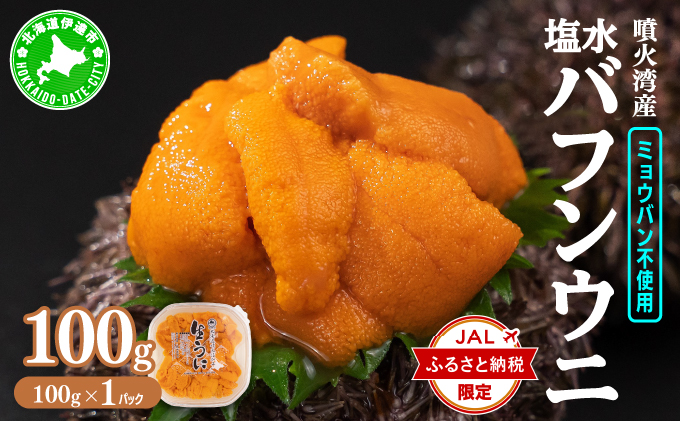 【JALふるさと納税限定】極上 北海道 噴火湾産 塩水 バフンウニ 100g 1パック《アフター保証付き》｜ミョウバン不使用 うに ウニ 雲丹 海鮮 海の幸 魚介類 ウニ丼 お寿司 濃厚 無添加 産地直送 産直 お取り寄せ 山村水産 送料無料