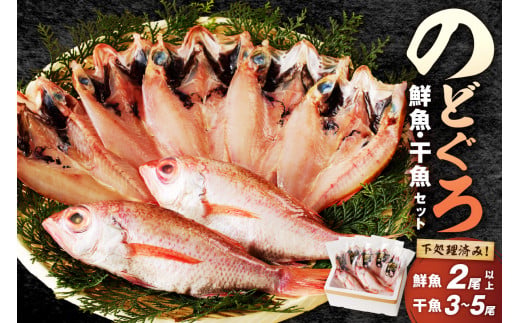 のどぐろの鮮魚と干魚のコラボセット 魚介類 魚介 魚 のどぐろ 干物 鮮魚 一夜干し お刺身 セット アカムツ のどくろ 【096_1696】